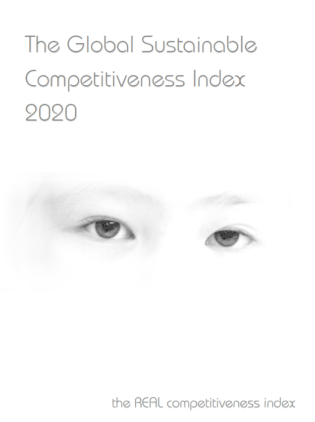 The Global Sustainable Competitiveness Report 2020 (PDF)