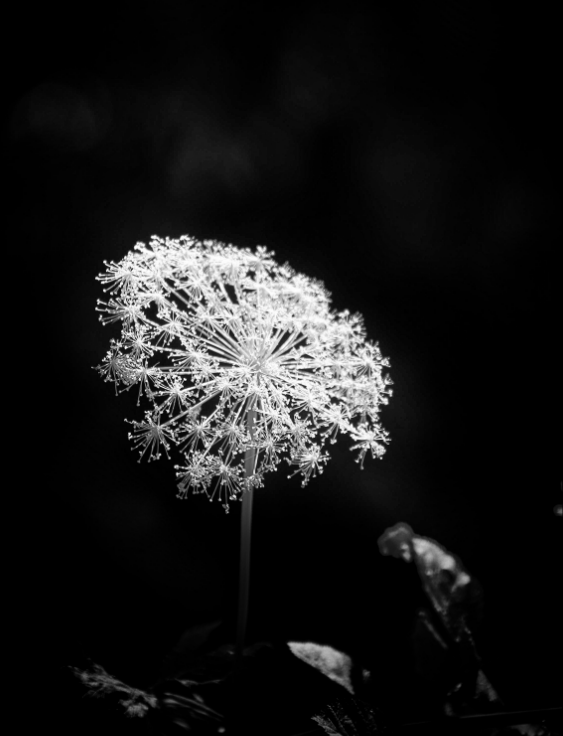 GSCI Scores 2025 (xlsx)