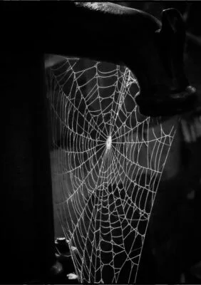 GSCI Scores 2024 (xlsx)