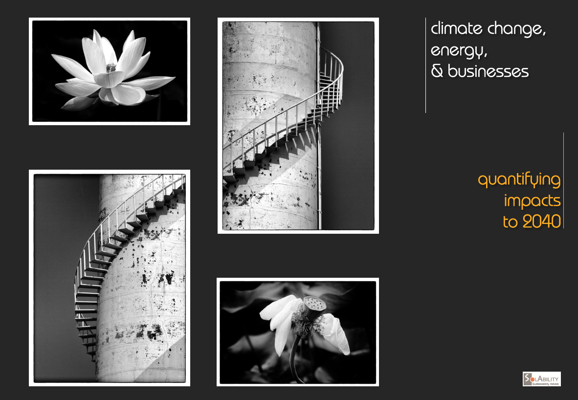 Climate, Energy & Business Outlook